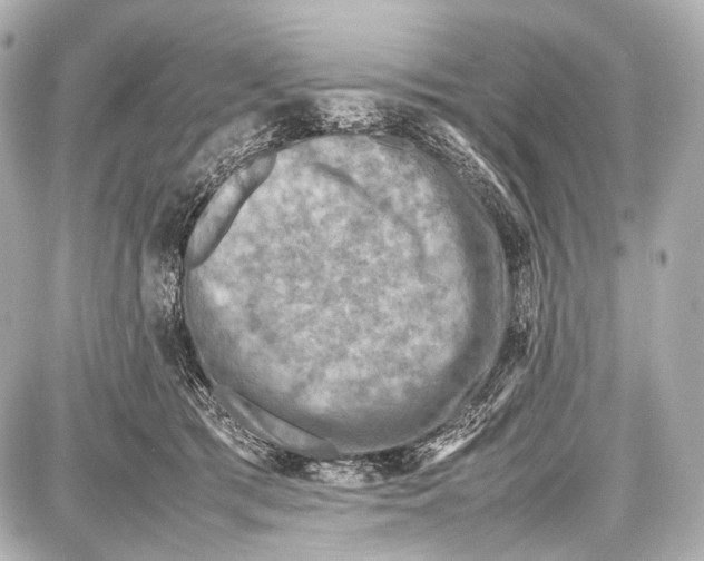 X0000087010417200705141836