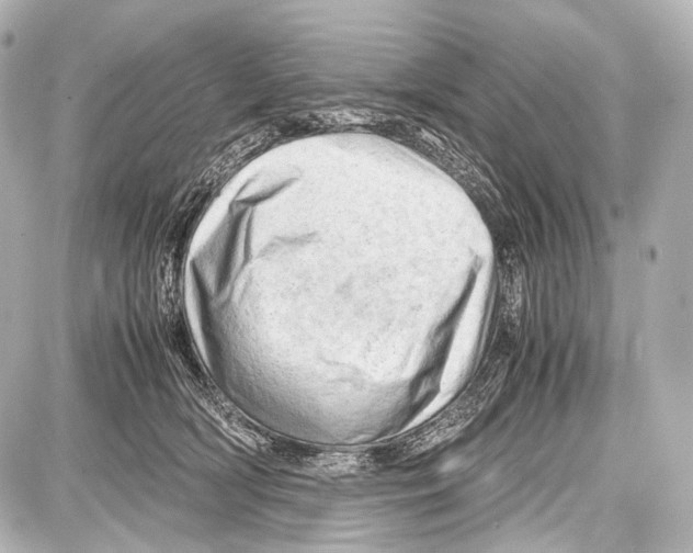 X0000087010418200705141836