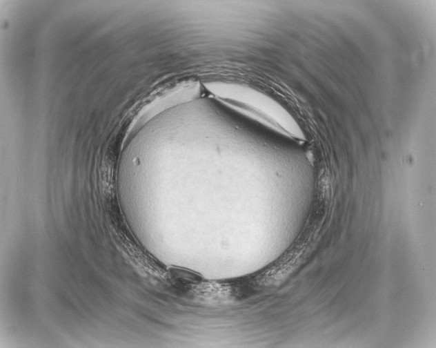 X0000087010421200705141836