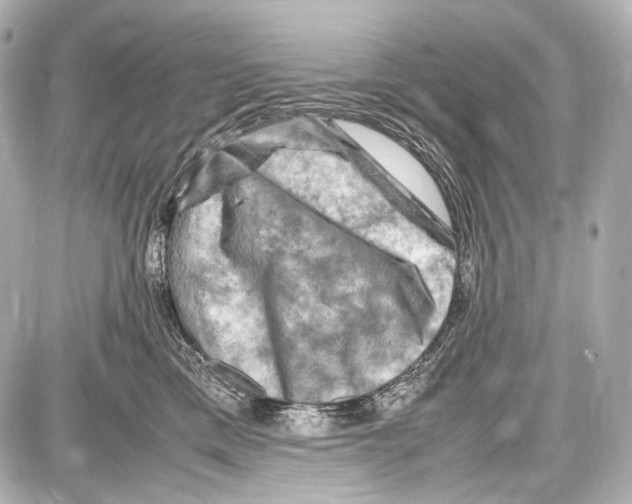 X0000087010425200705141836