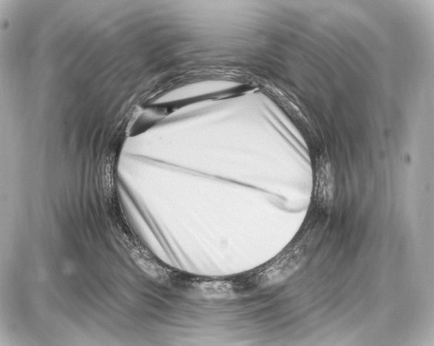 X0000087010426200705141836