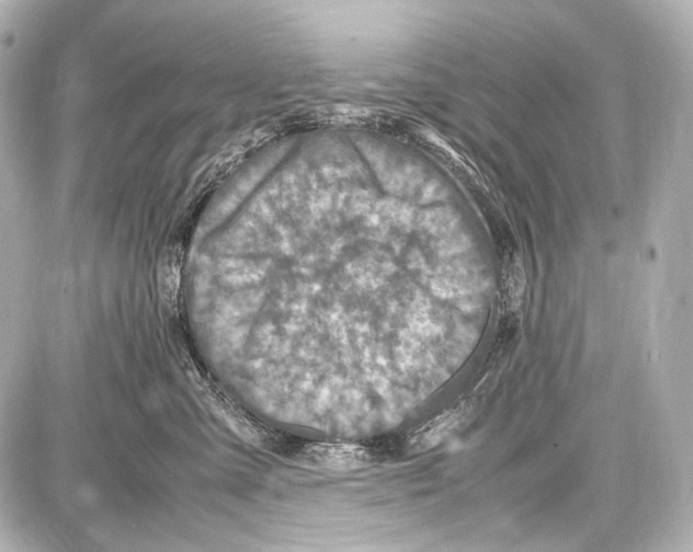 X0000087010427200705141836