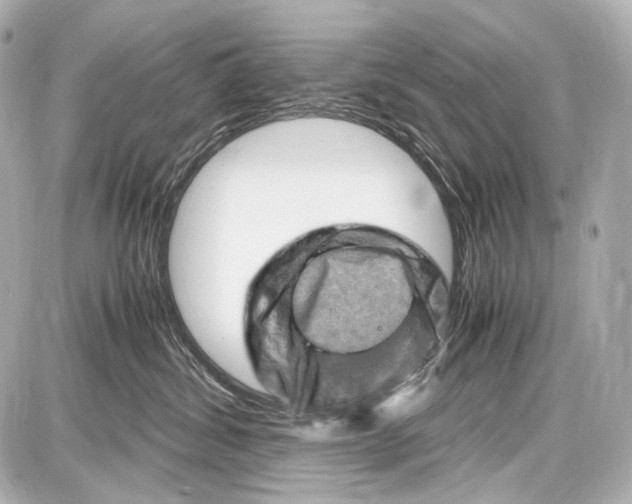 X0000087010428200705141836