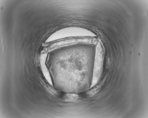 X0000087010429200705141836