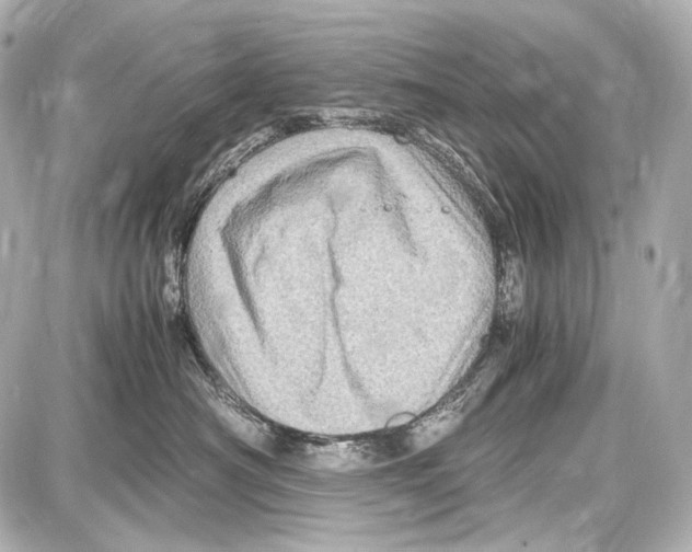 X0000087010430200705141836