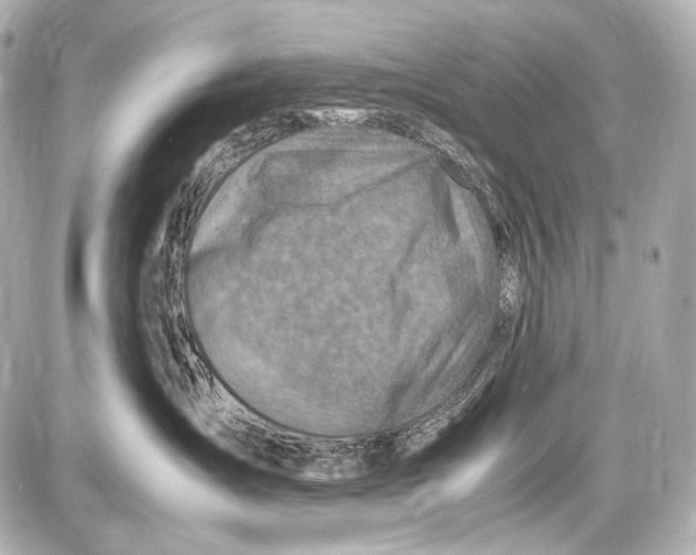 X0000087010431200705141836