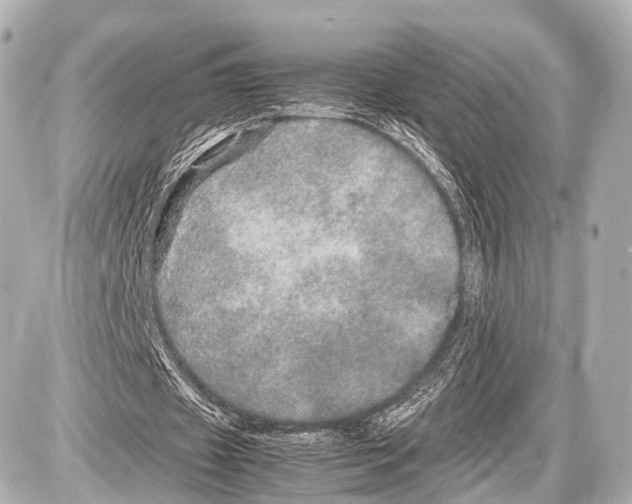 X0000087010433200705141835