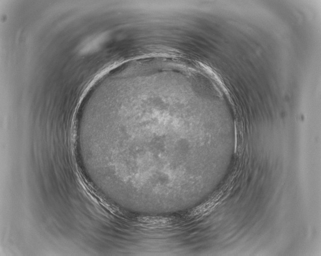 X0000087010435200705141835