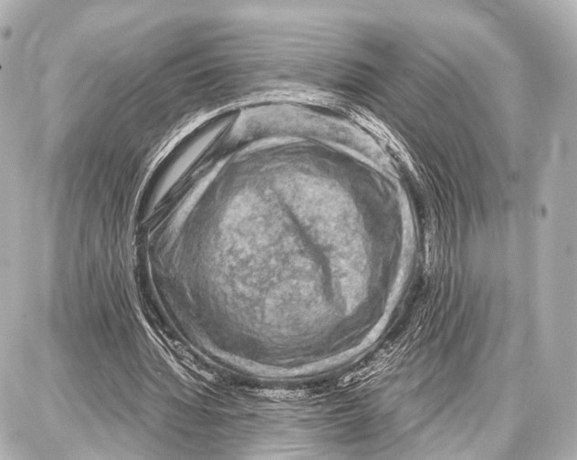 X0000087010436200705141835