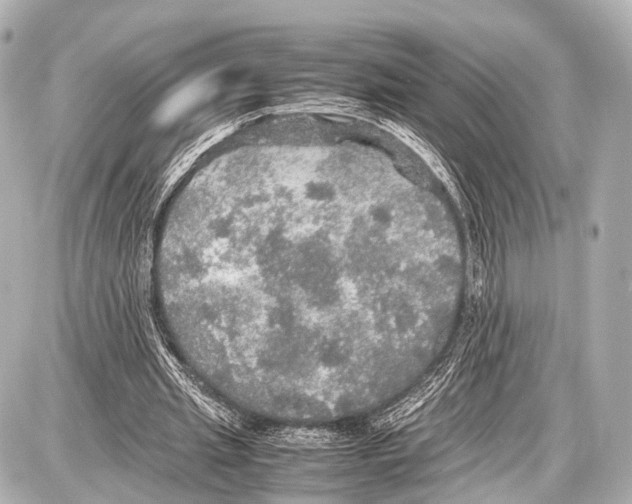 X0000087010437200705141835