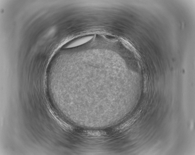 X0000087010439200705141835