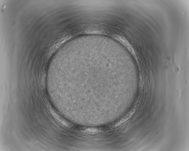 X0000087010441200705141835