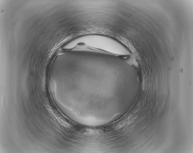 X0000087010442200705141835