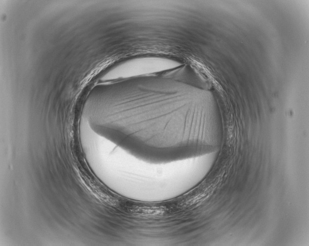 X0000087010443200705141835