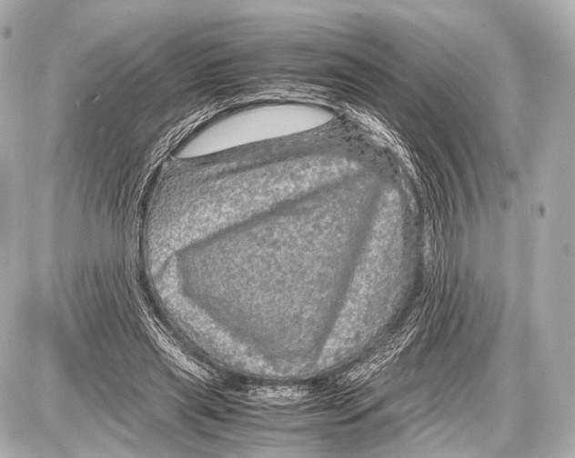 X0000087010445200705141835