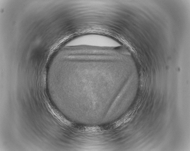 X0000087010446200705141835