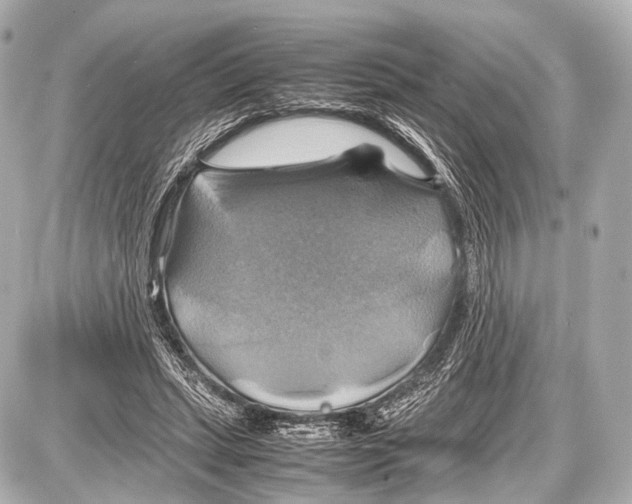 X0000087010447200705141835