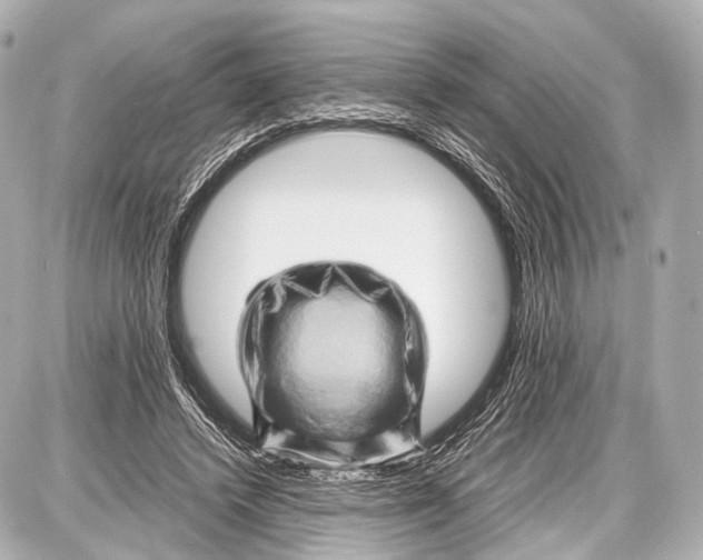 X0000087010448200705141835