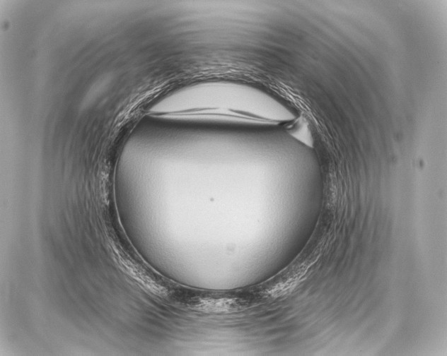 X0000087010450200705141835