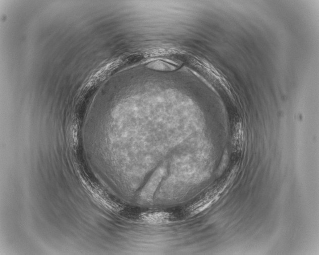 X0000087010452200705141835