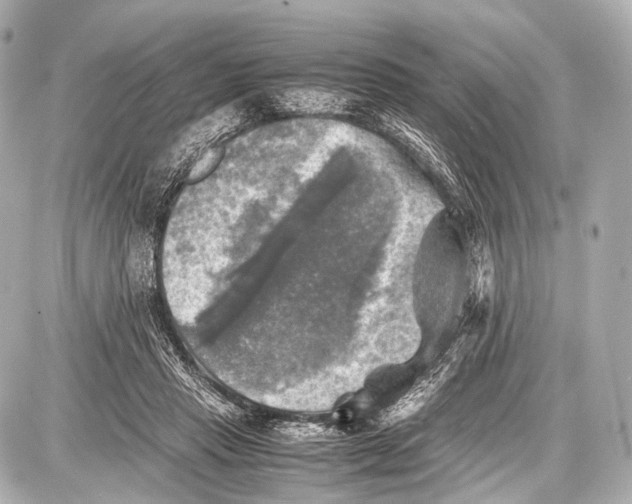 X0000087010453200705141835