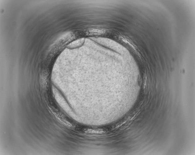 X0000087010455200705141835