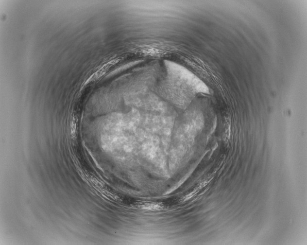 X0000087010456200705141835