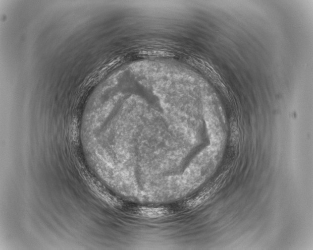 X0000087010457200705141835