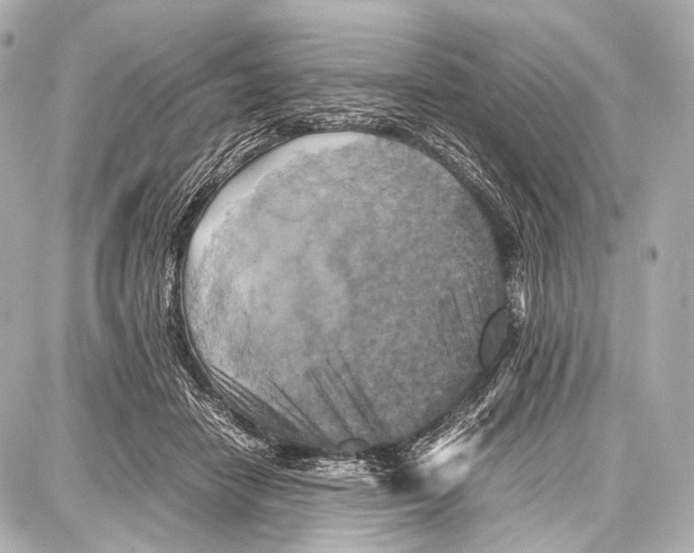 X0000087010458200705141835