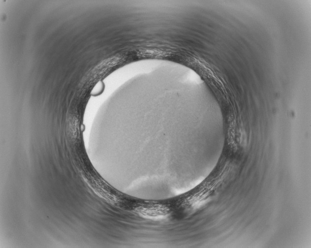 X0000087010459200705141835