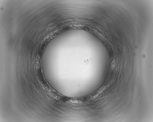 X0000087010464200705141836