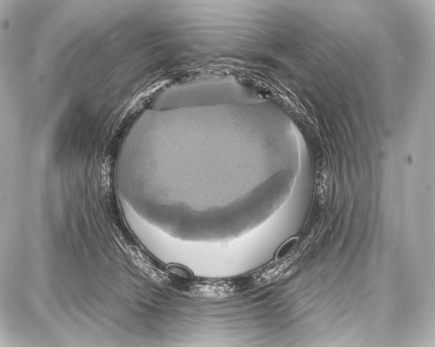 X0000087010466200705141836