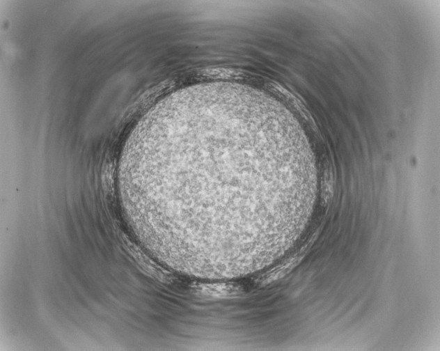 X0000087010473200705141836