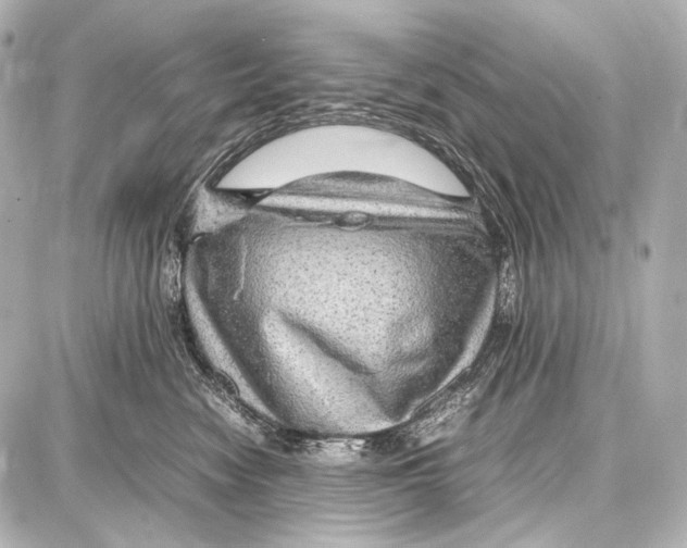 X0000087010474200705141836