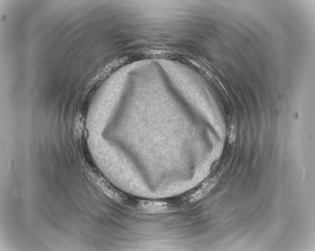 X0000087010476200705141836