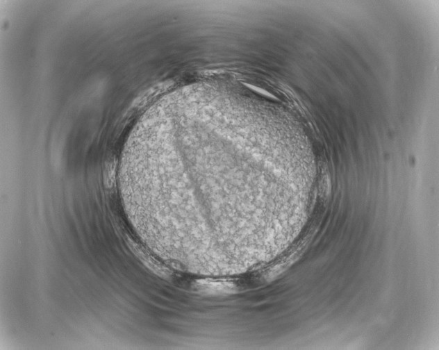 X0000087010477200705141836