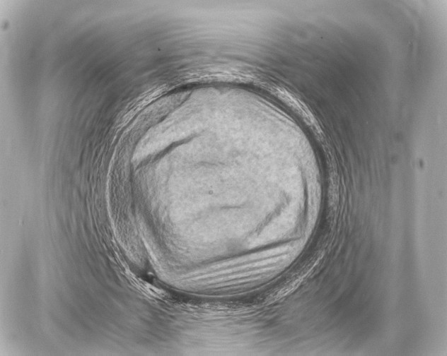 X0000087010481200705141835