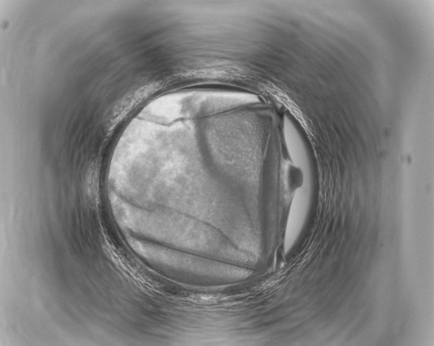 X0000087010482200705141835