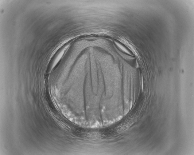 X0000087010483200705141835