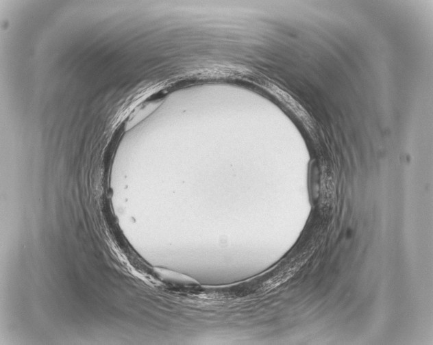 X0000087010485200705141835