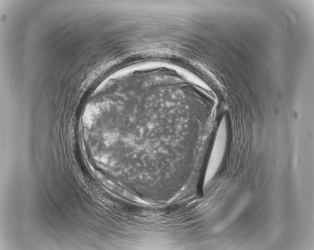 X0000087010487200705141835