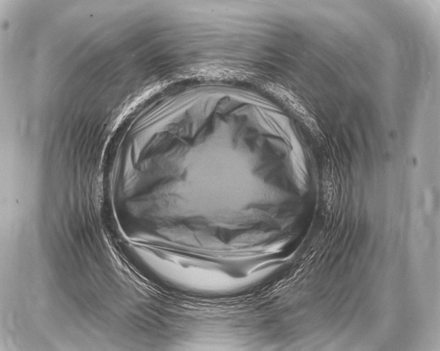 X0000087010488200705141835