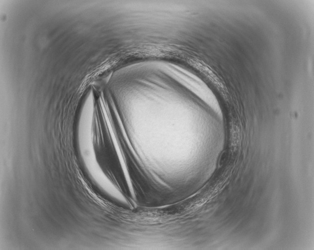 X0000087010489200705141835