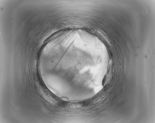 X0000087010491200705141835