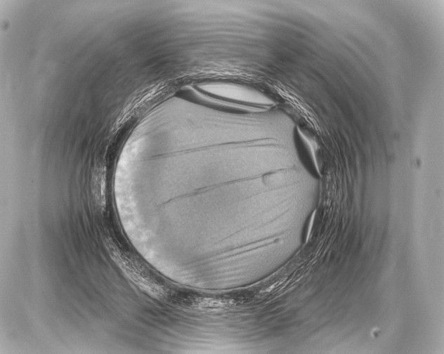 X0000087010494200705141835