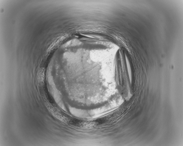 X0000087010495200705141835