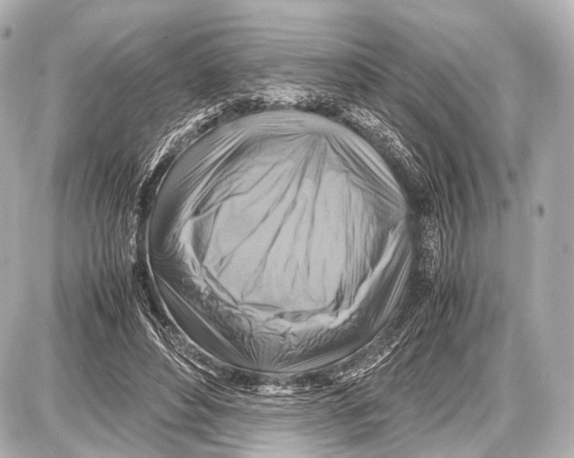 X0000087010496200705141835