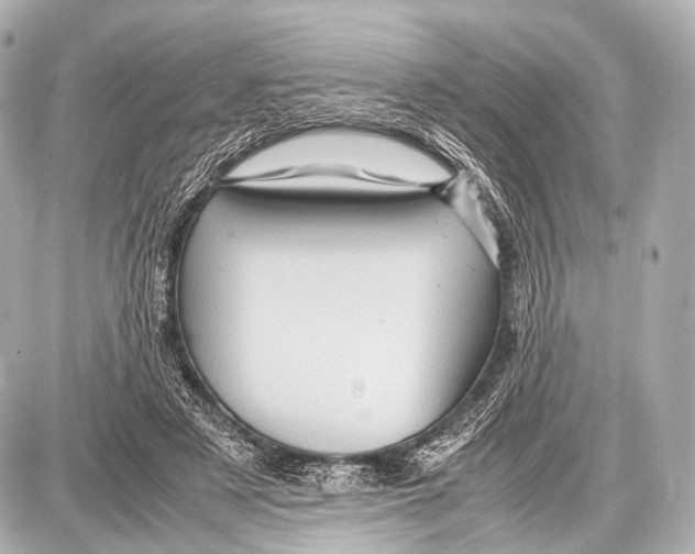 X0000087010497200705141835