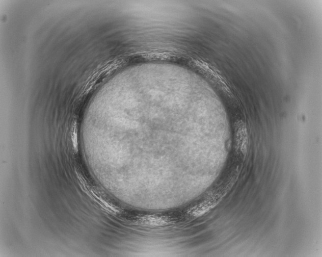 X0000087010498200705141835