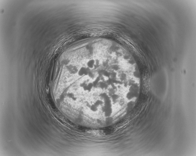 X0000087010499200705141835